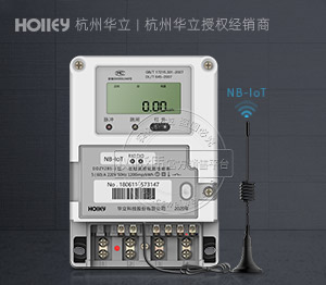 杭州华立DDZY285-J 丨 1级 单相NB-IoT无线预付费智能金沙娱app下载9570